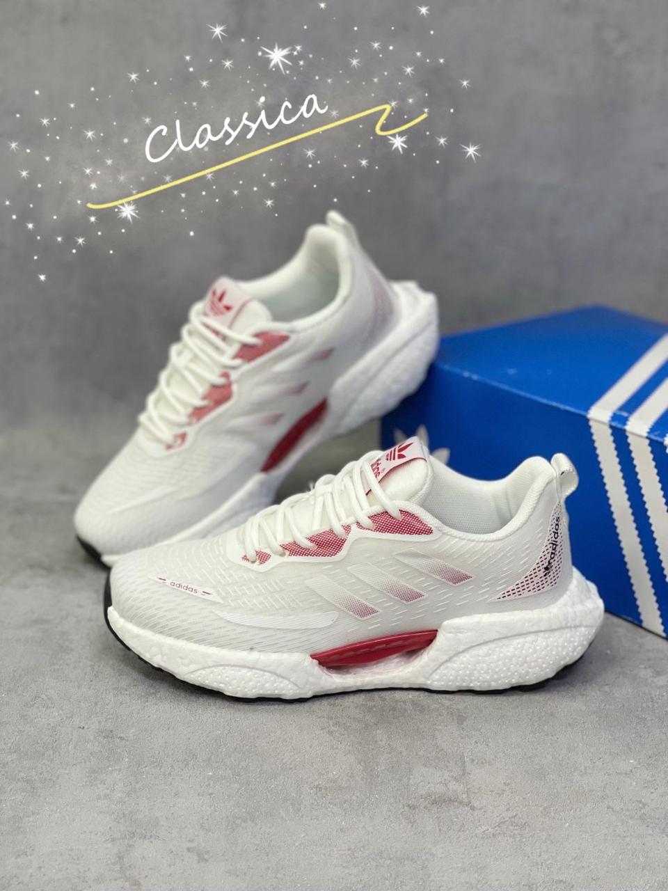 Женские весенние кроссовки CLASSICA SO-245-19 (8 пар в коробе, размер 36-41)